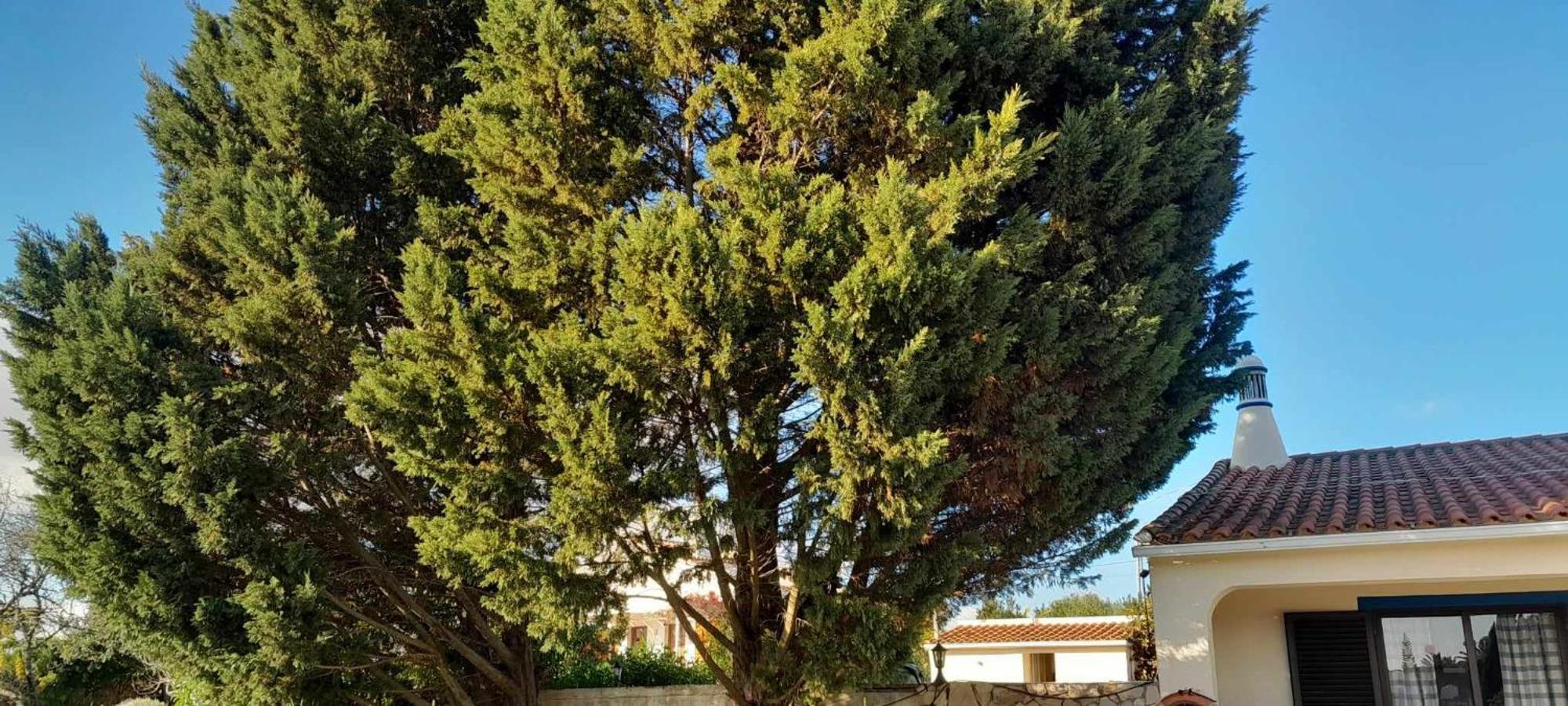 Casa Joaquina Βίλα Καρβοέιρο Εξωτερικό φωτογραφία